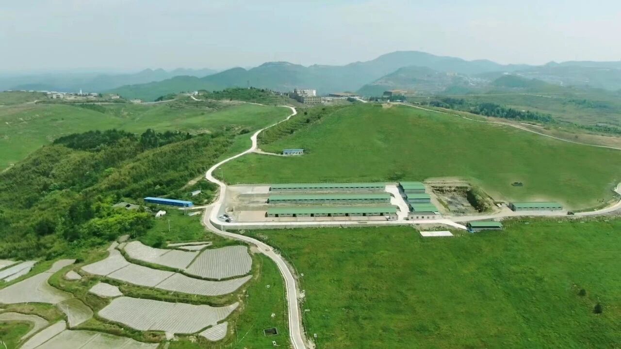 微信图片_2026-05-11_101100_989.jpg