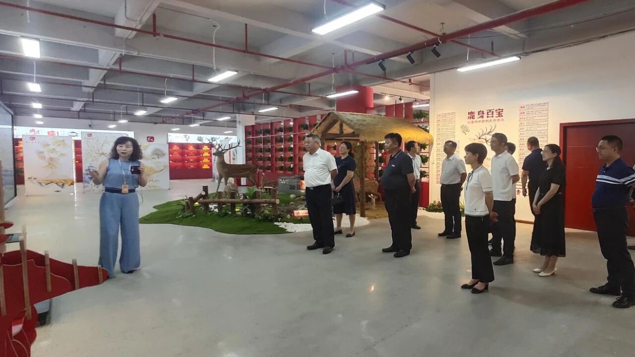 微信图片_2026-05-11_115252_804.jpg