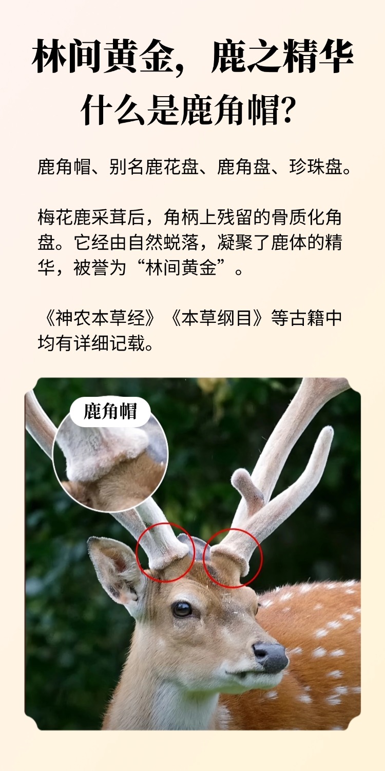 稿定设计-4.jpg