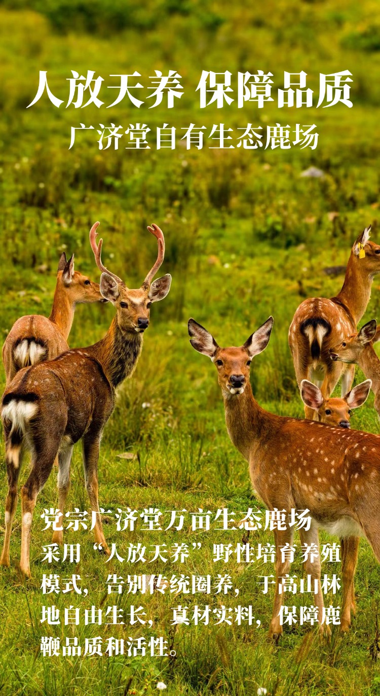 稿定设计-5.jpg