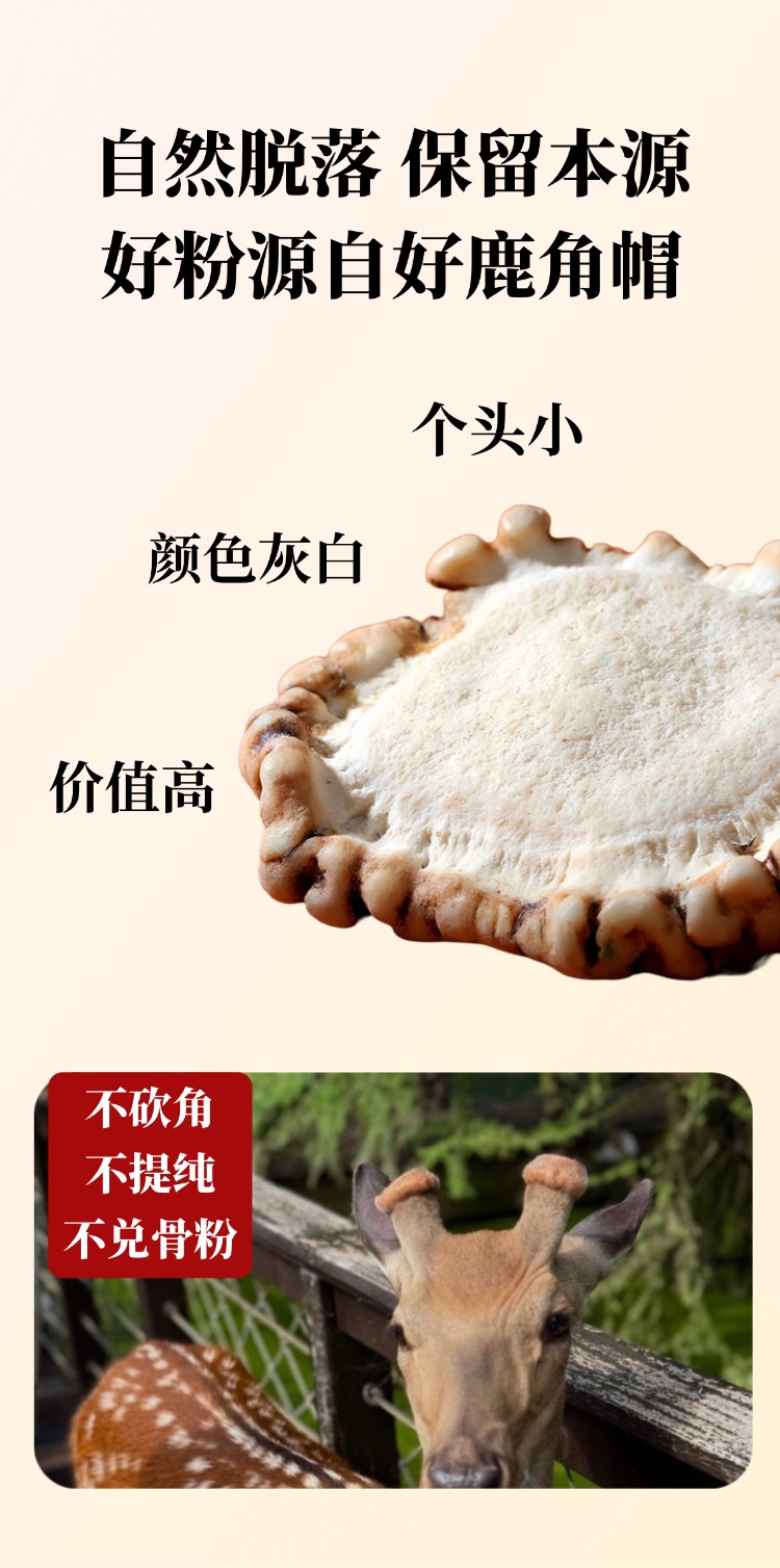 稿定设计-6.jpg