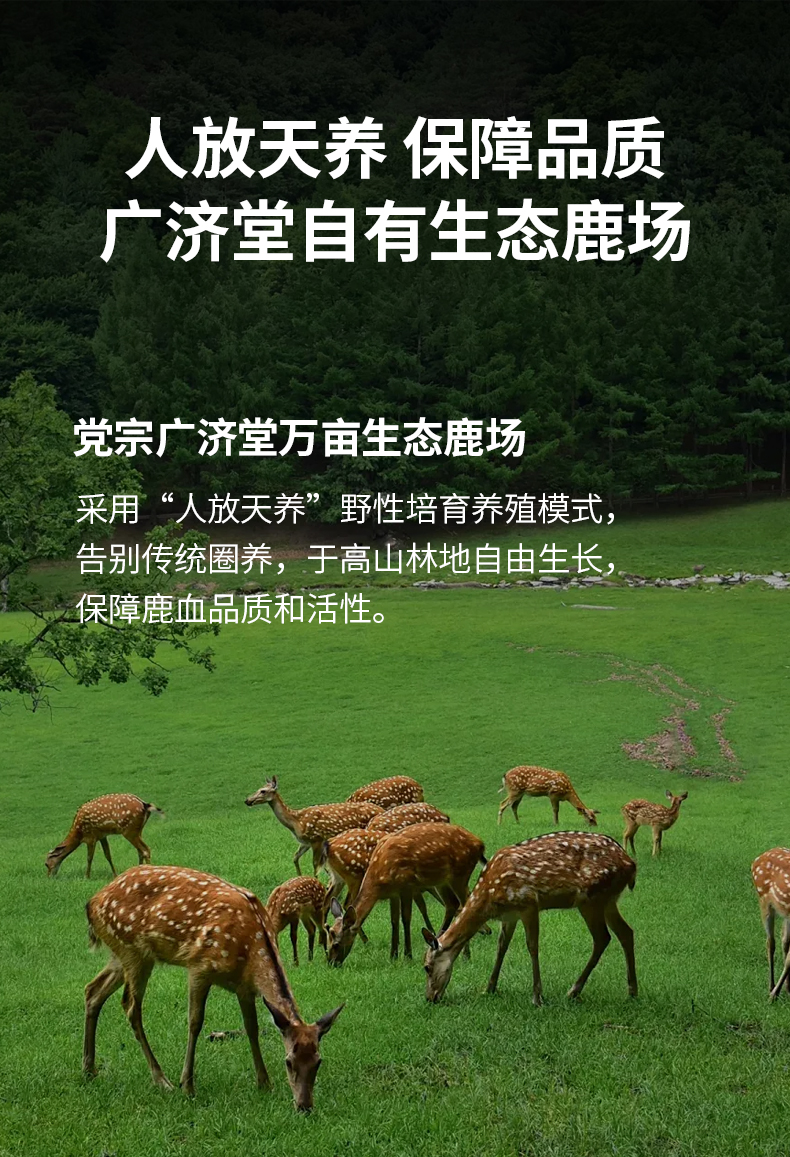 详情-拷贝-恢复的2_04.jpg