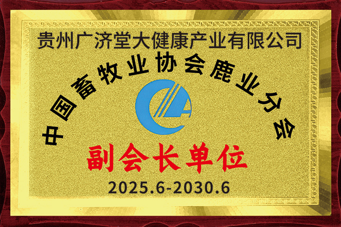 honor_104_01.jpg
