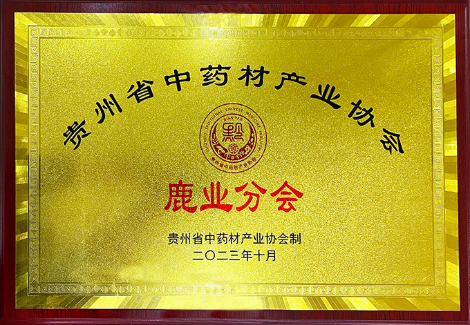 honor_104_03.jpg