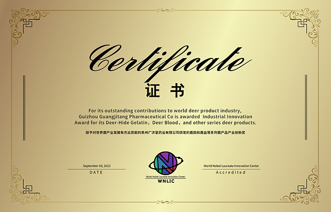 honor_104_04.jpg