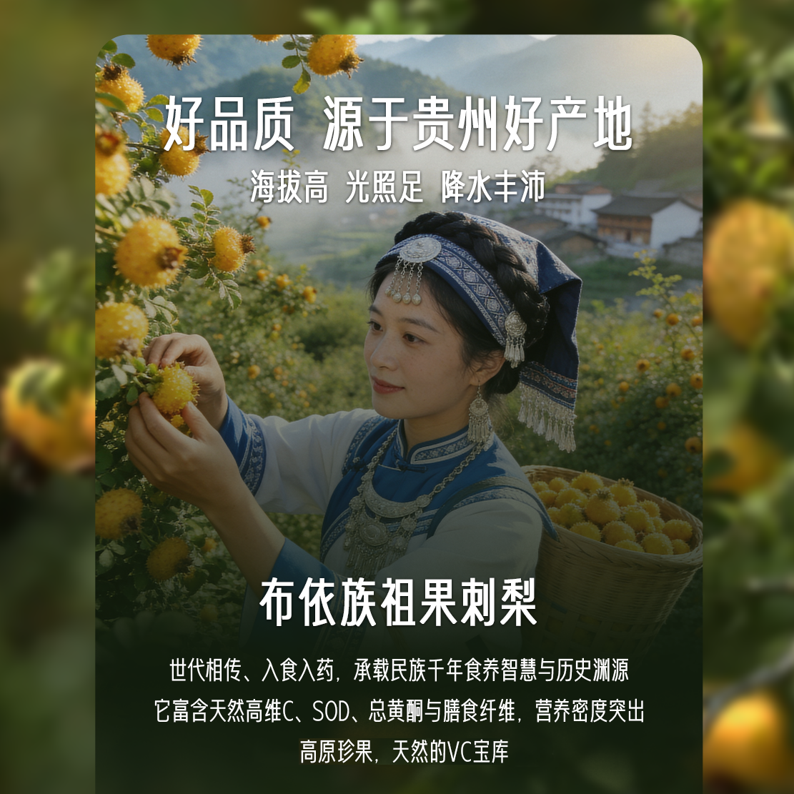 1792753723356911.png 刺梨全果汁主图后4张-4.png