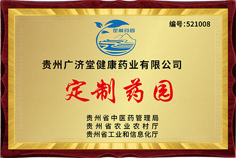 honor_104_09.jpg