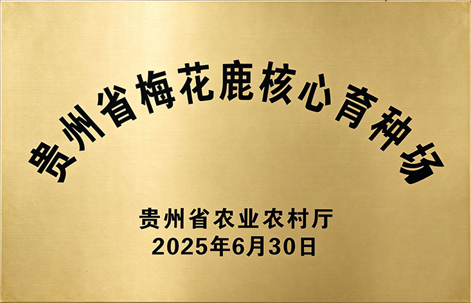 honor_105_01.jpg