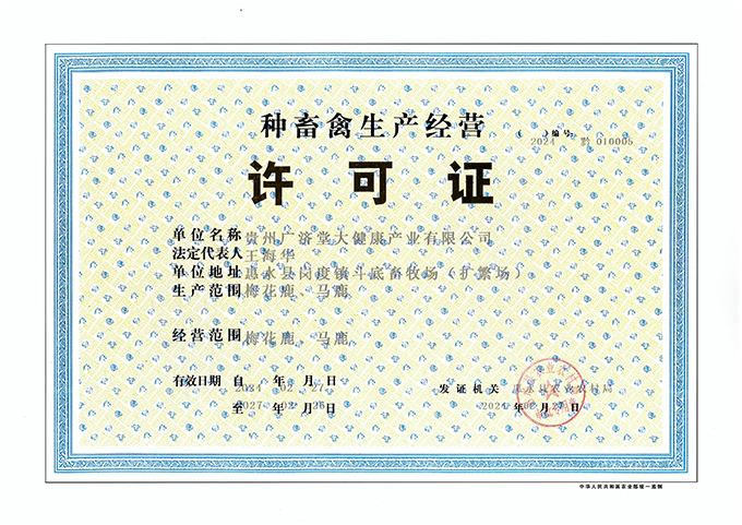 honor_105_03.jpg